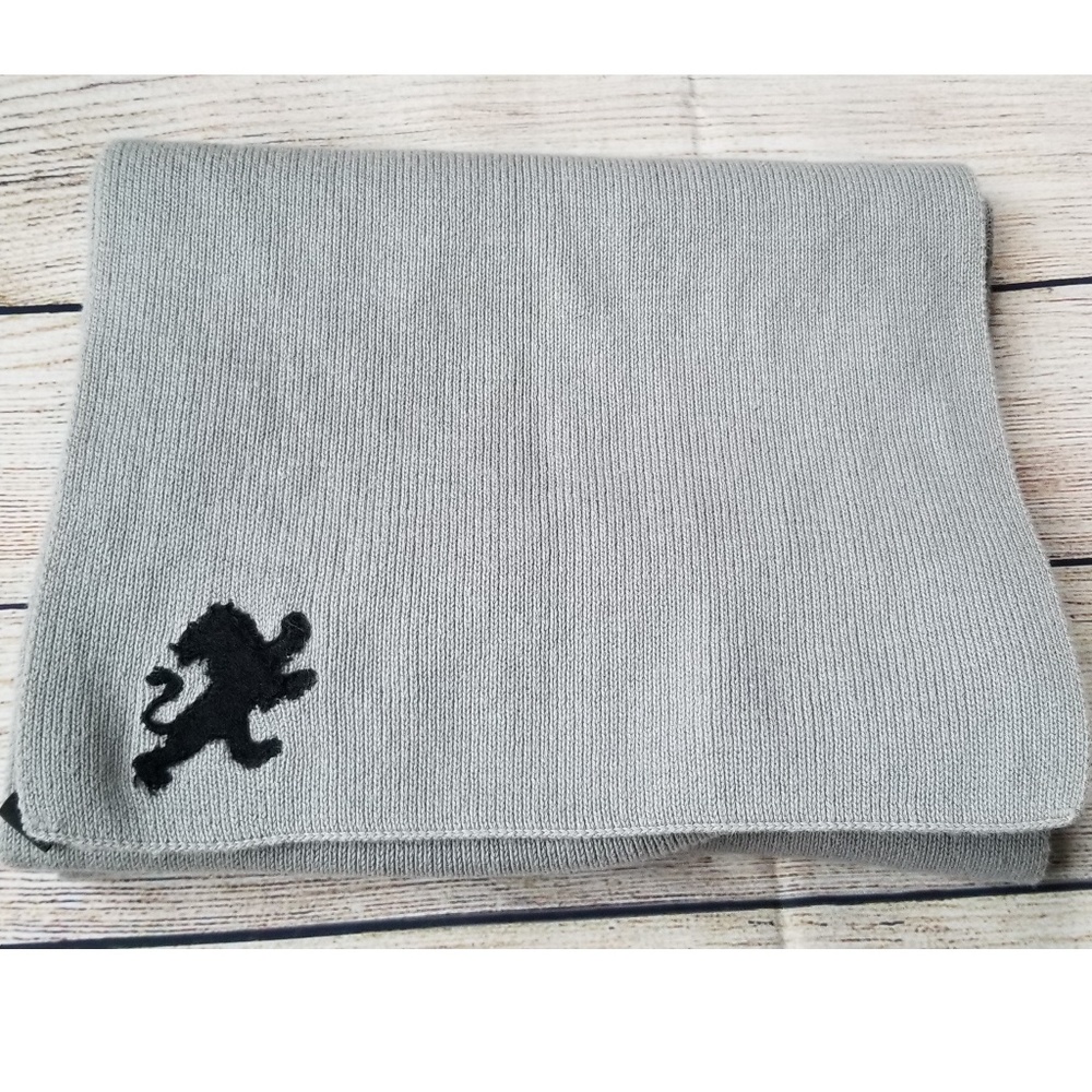 NWOT Express Scarf